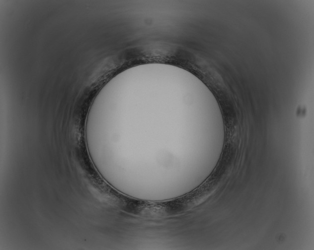 X0000092250599200710051300