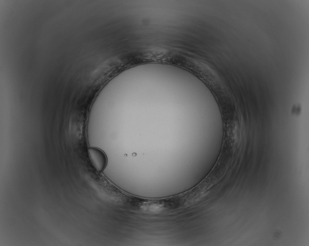 X0000092250602200710051300