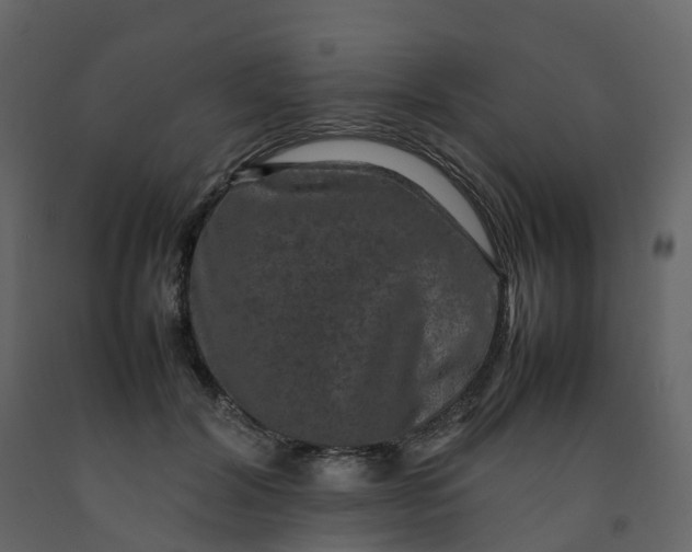 X0000092250604200710051300