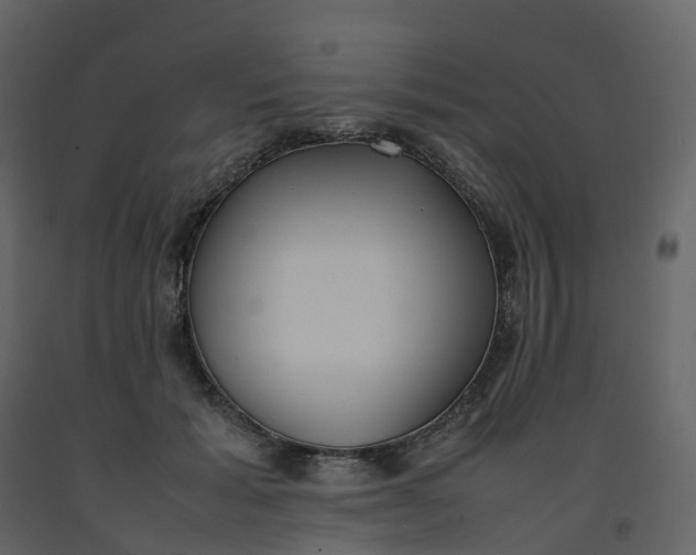 X0000092250605200710051300