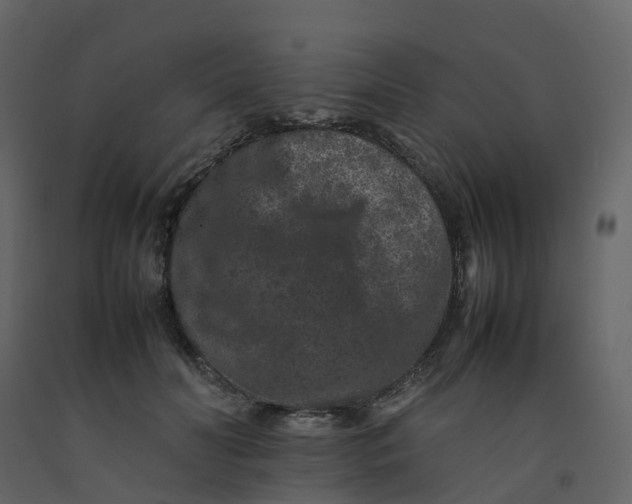 X0000092250606200710051300