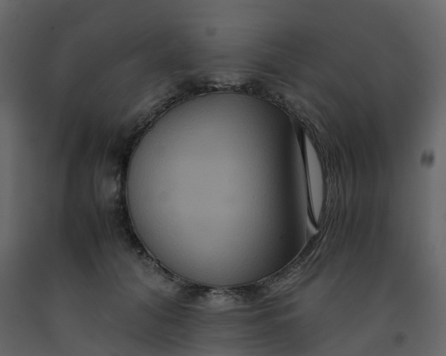 X0000092250608200710051300