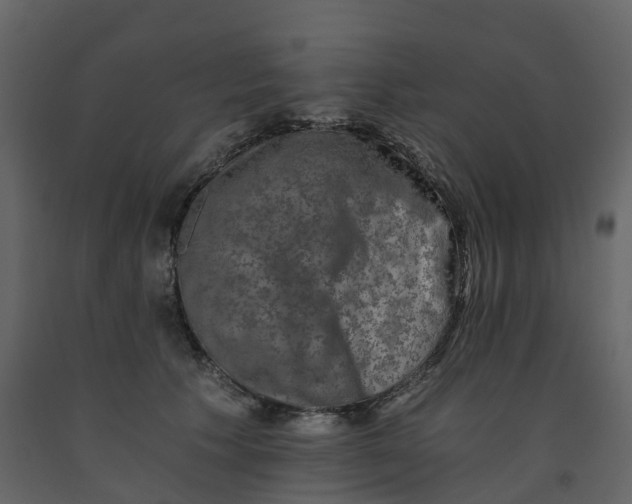 X0000092250609200710051300