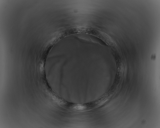 X0000092250610200710051300