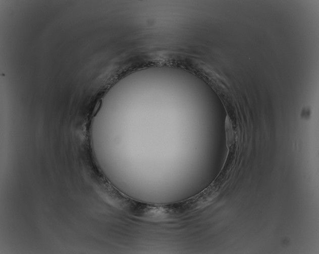 X0000092250611200710051300