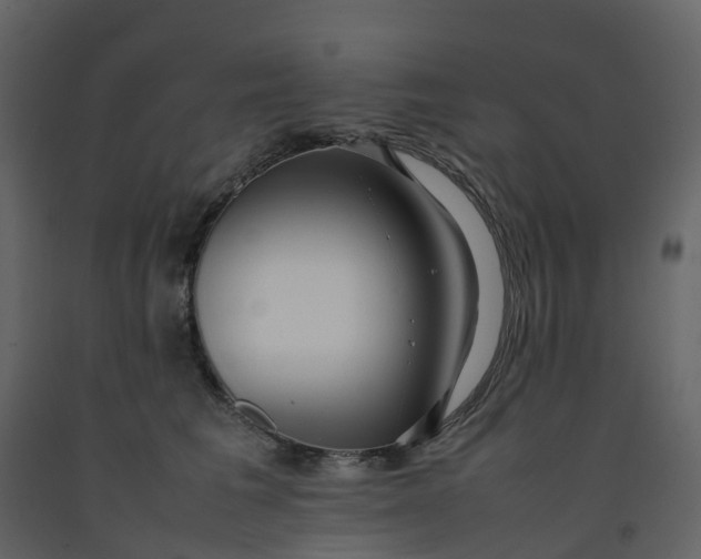 X0000092250613200710051300