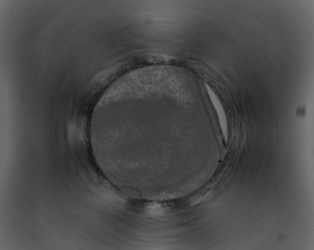 X0000092250616200710051300