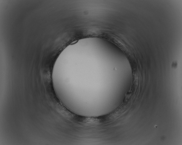 X0000092250617200710051300