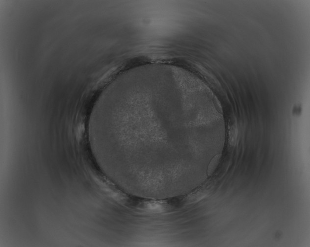 X0000092250618200710051300