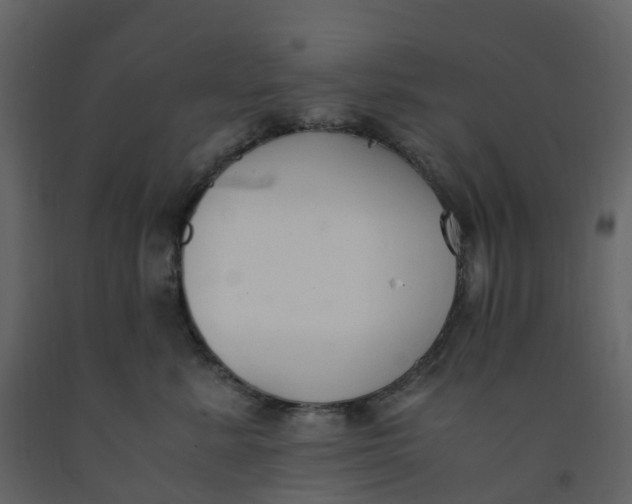 X0000092250619200710051300