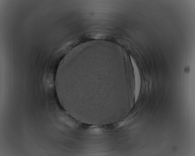 X0000092250620200710051300