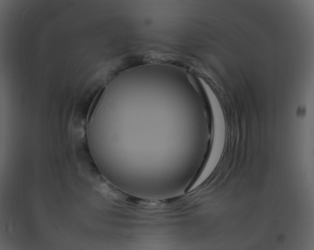 X0000092250621200710051300