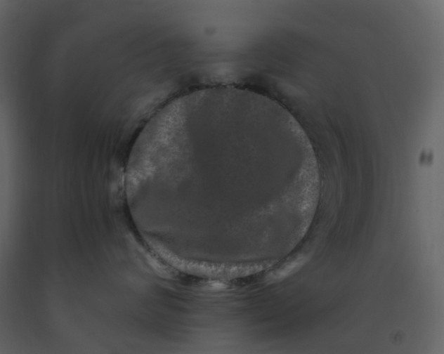 X0000092250624200710051300