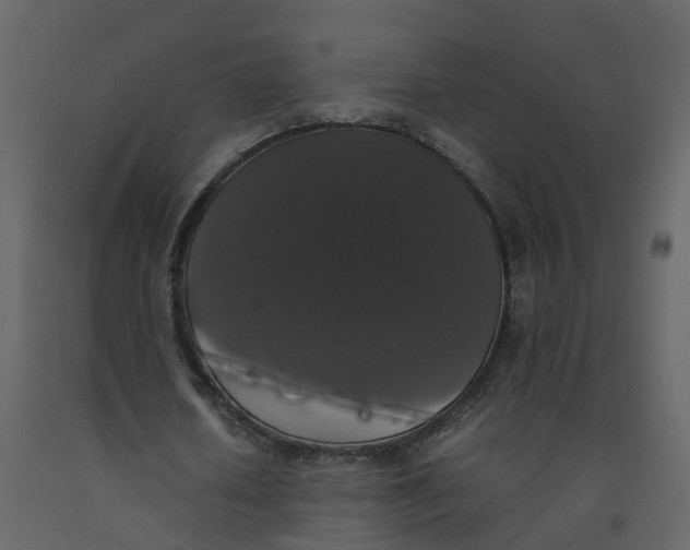 X0000092250626200710051259