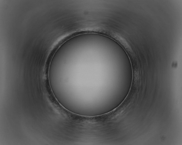 X0000092250628200710051259