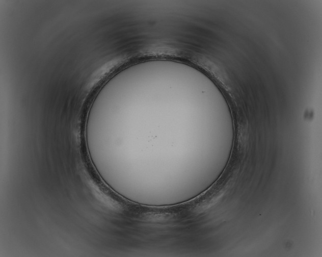 X0000092250629200710051259