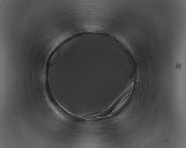 X0000092250630200710051259