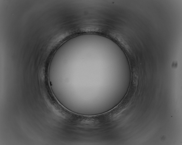 X0000092250631200710051259