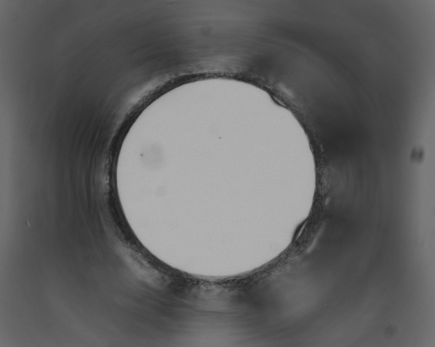 X0000092250632200710051259