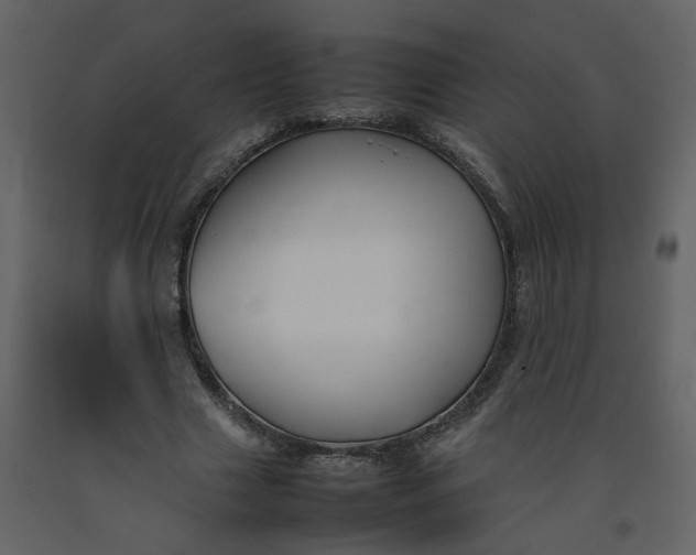 X0000092250633200710051259