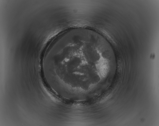 X0000092250634200710051259