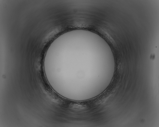 X0000092250635200710051259