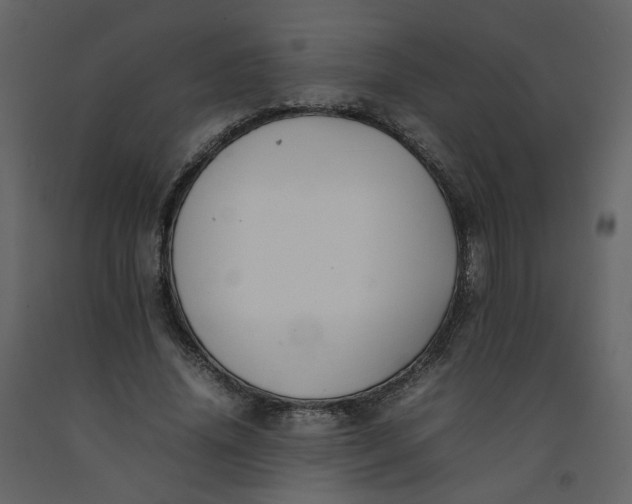 X0000092250636200710051259