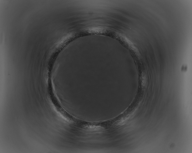 X0000092250637200710051259