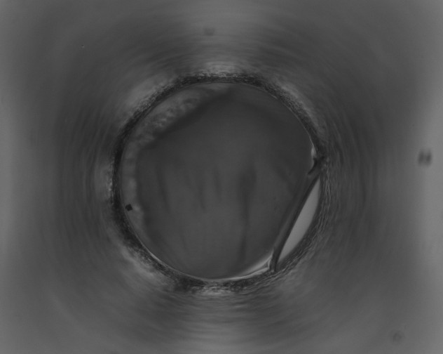 X0000092250640200710051259