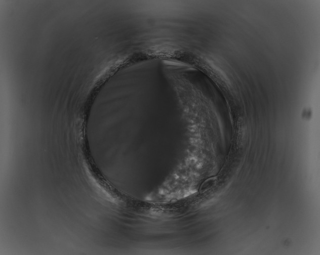 X0000092250641200710051259