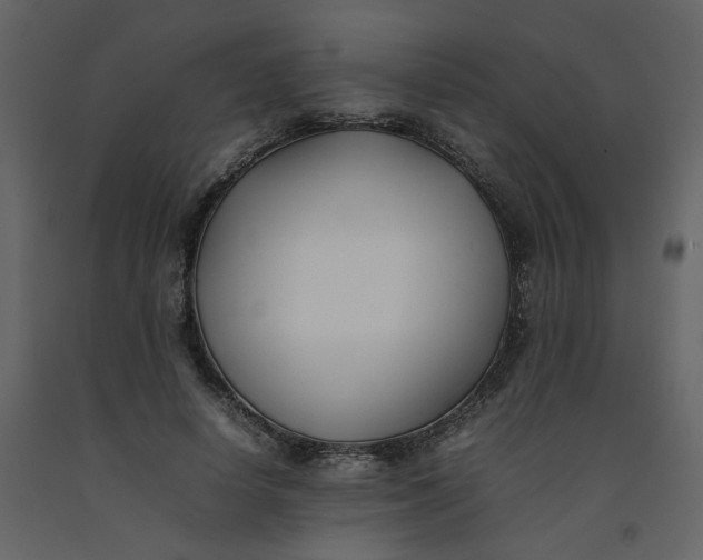 X0000092250642200710051259