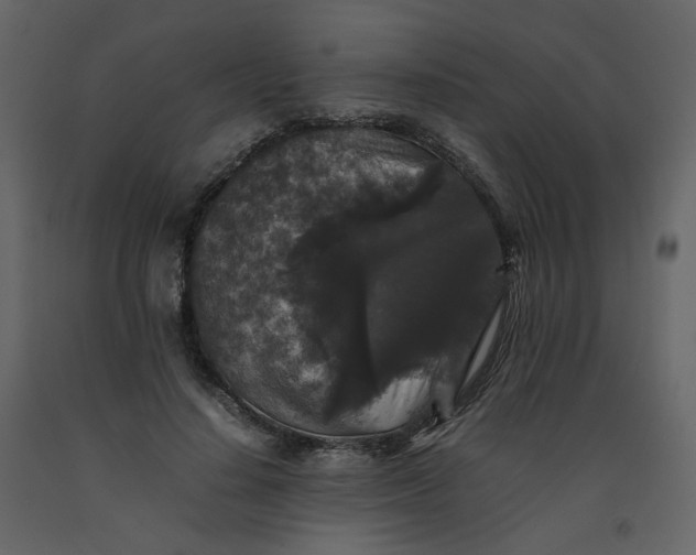 X0000092250644200710051259