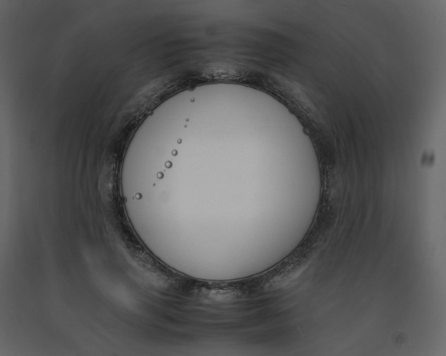 X0000092250645200710051259