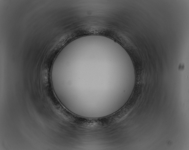 X0000092250646200710051259