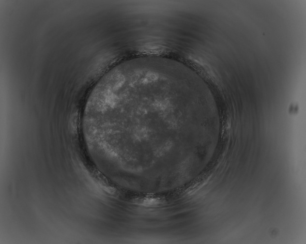 X0000092250647200710051259