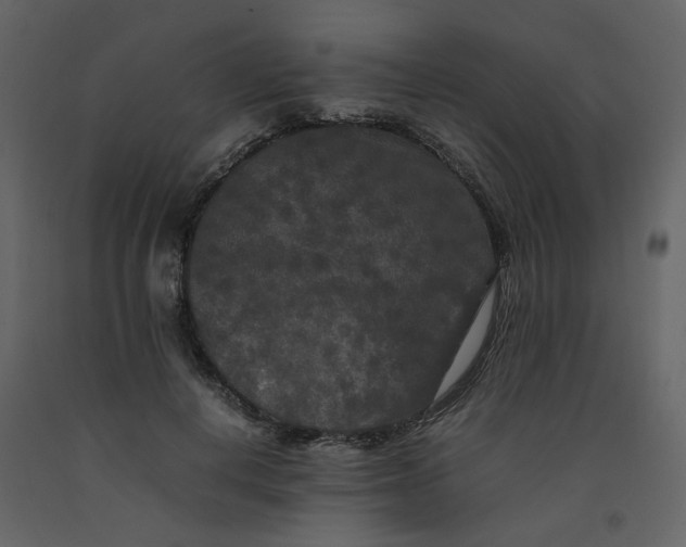 X0000092250648200710051259