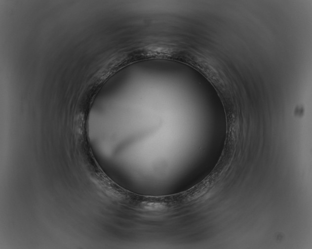 X0000092250649200710051259