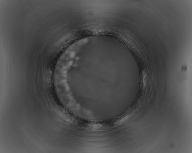 X0000092250650200710051259