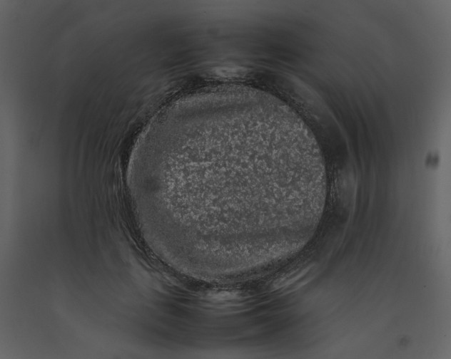 X0000092250651200710051259