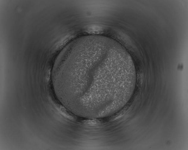 X0000092250652200710051259