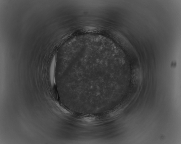 X0000092250653200710051259