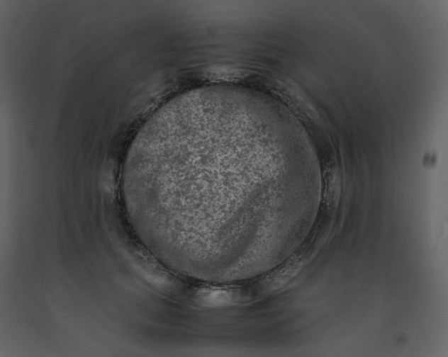 X0000092250655200710051259