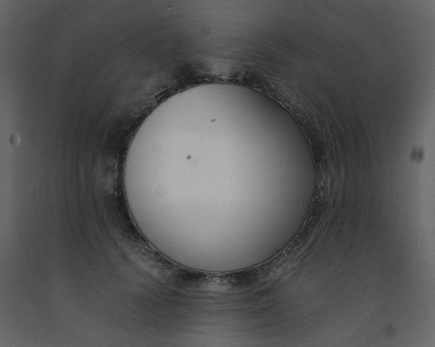 X0000092250656200710051259