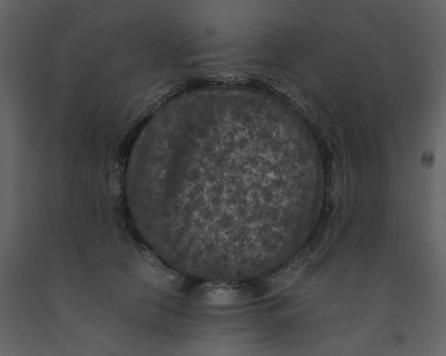 X0000092250658200710051259