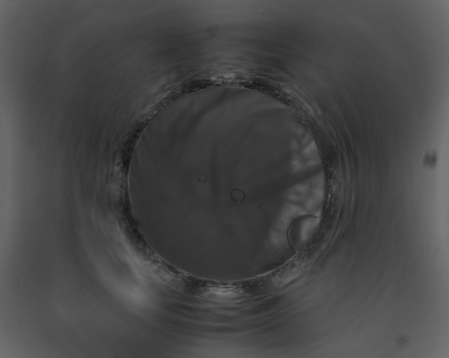 X0000092250659200710051259