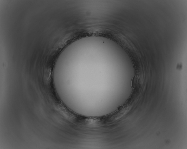 X0000092250660200710051300