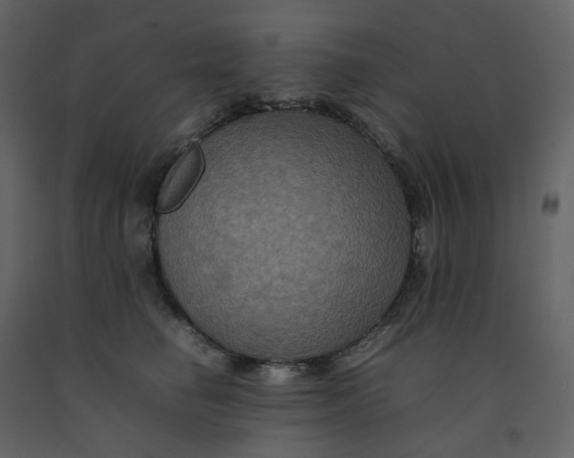 X0000092250662200710051300