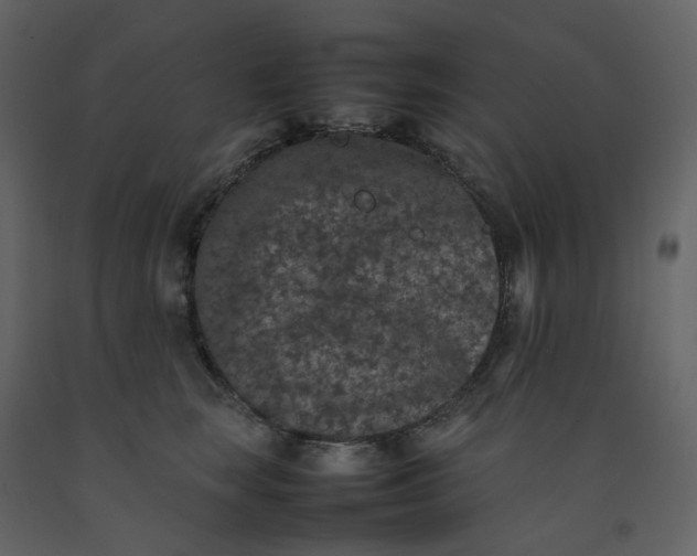 X0000092250663200710051300