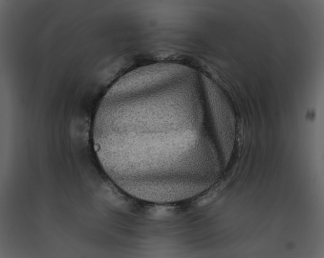 X0000092250664200710051300