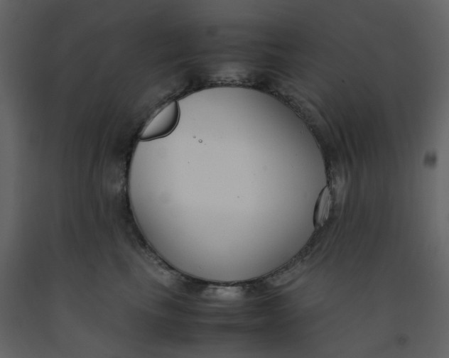 X0000092250665200710051300